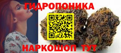 спайс Кимры