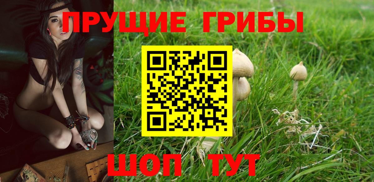 Псилоцибиновые грибы MAGIC MUSHROOMS Каспийск