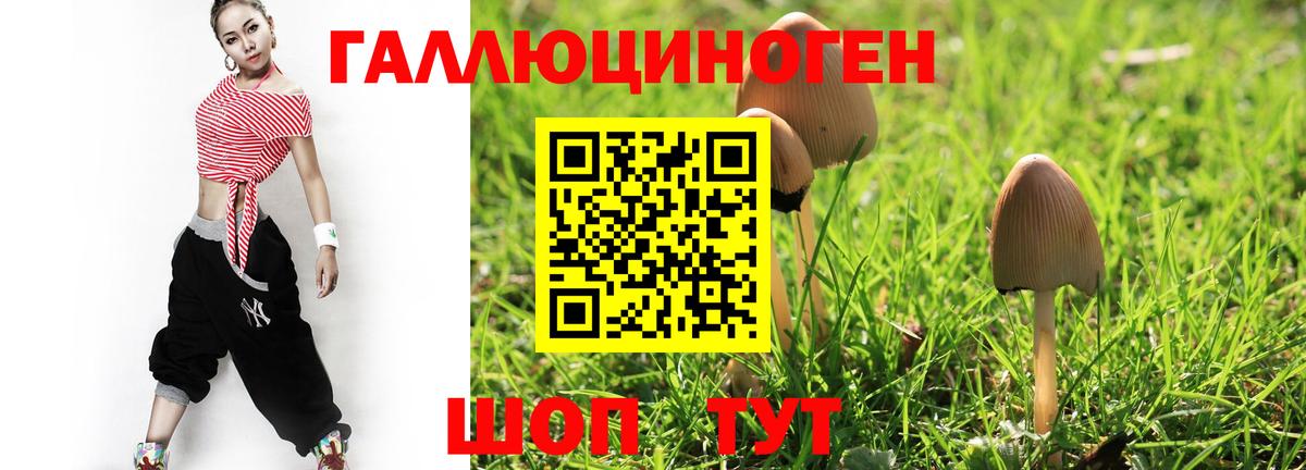 Каспийск  Псилоцибиновые грибы мухоморы  цены   Псилоцибиновые грибы Psilocybe  Вход с VPN 